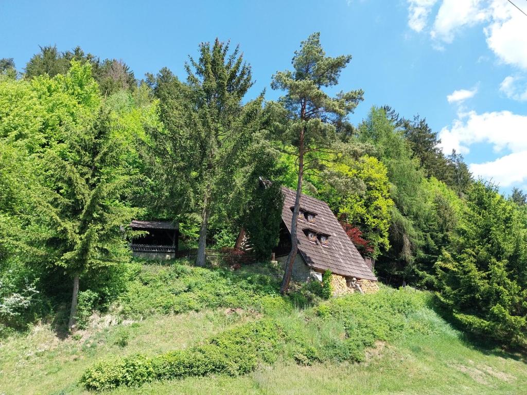 an old house on a hill in the woods at Chata Huslenky in Huslenky