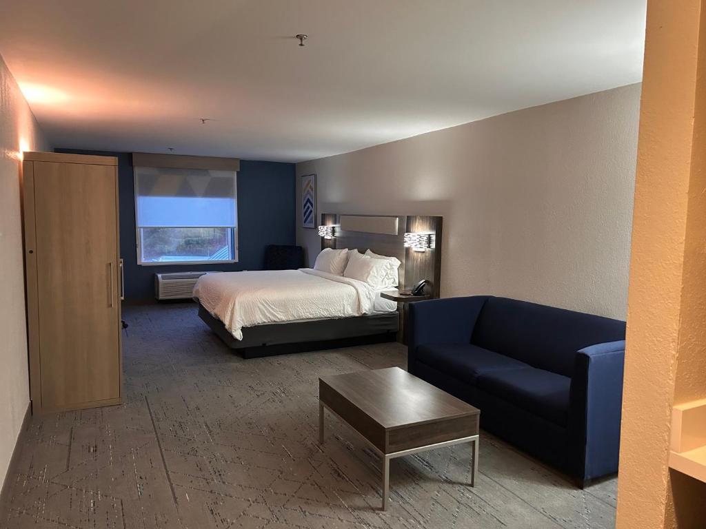 Holiday Inn Express & Suites Murphy by IHG - King Suite With Sofa Bed