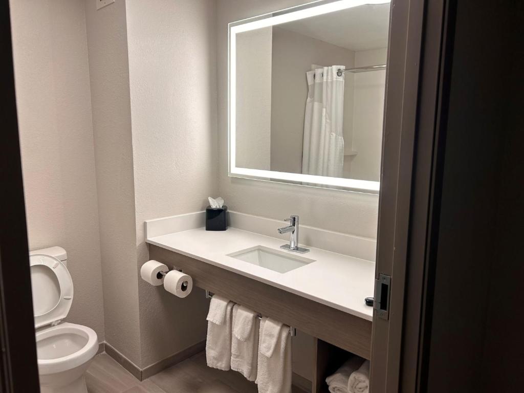 Holiday Inn Express & Suites Murphy by IHG - Standard Room