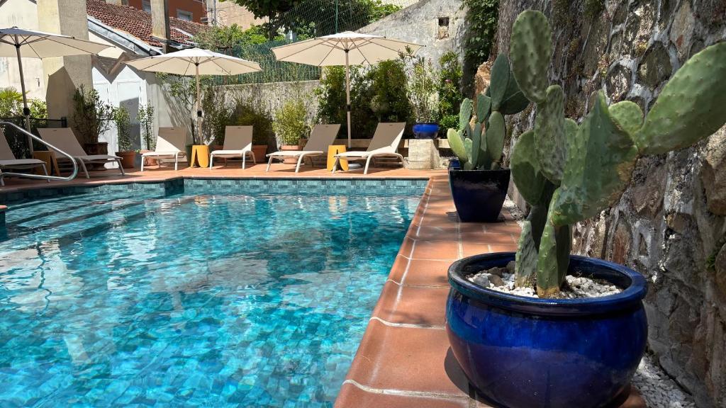 a cactus in a large blue pot next to a swimming pool at Logis Hôtel Restaurant Grand Hôtel de Lyon in Vals-les-Bains