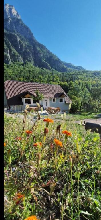 a house on a hill with a field of flowers at Hostel Sherifaj in Valbonë