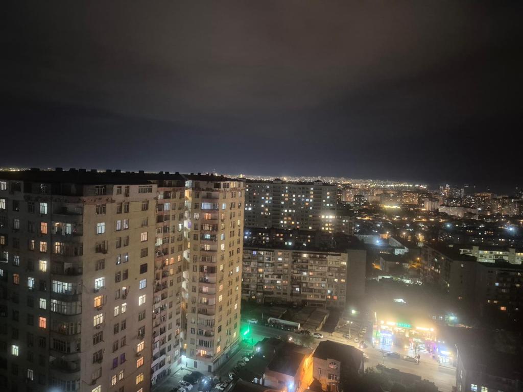 لابی و فضای عمومی Jasmin Park - تصویر ۵