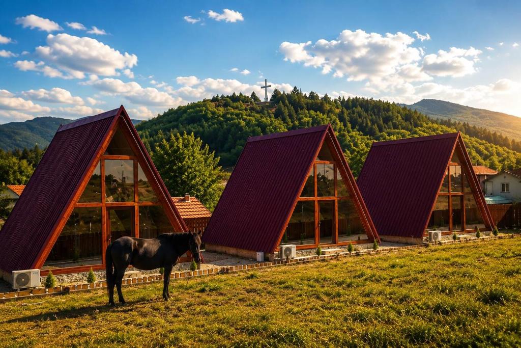 a horse standing in a field in front of a building at Wooden Cabin 1 with Pool Access - Bate Bole Resort in Ohrid