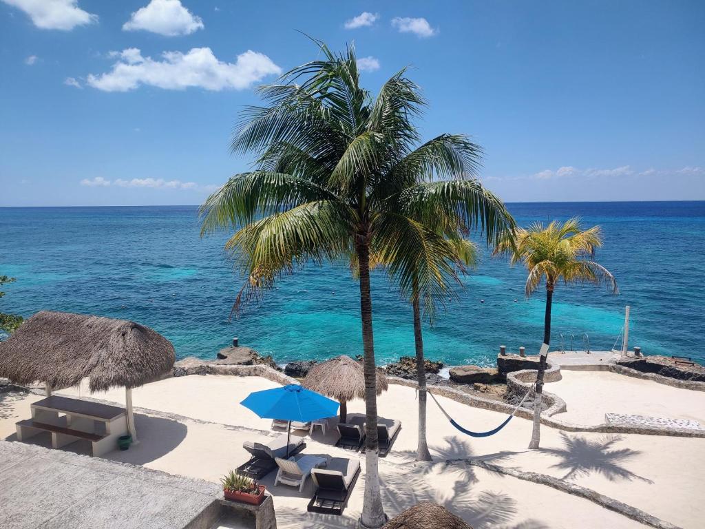 a beach with chairs and palm trees and the ocean at Condumel in Cozumel