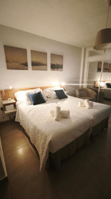 Apartamentos DC II