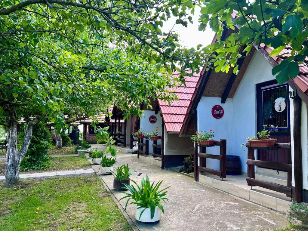 a house with plants in front of it at Camping Lukač in Kutina