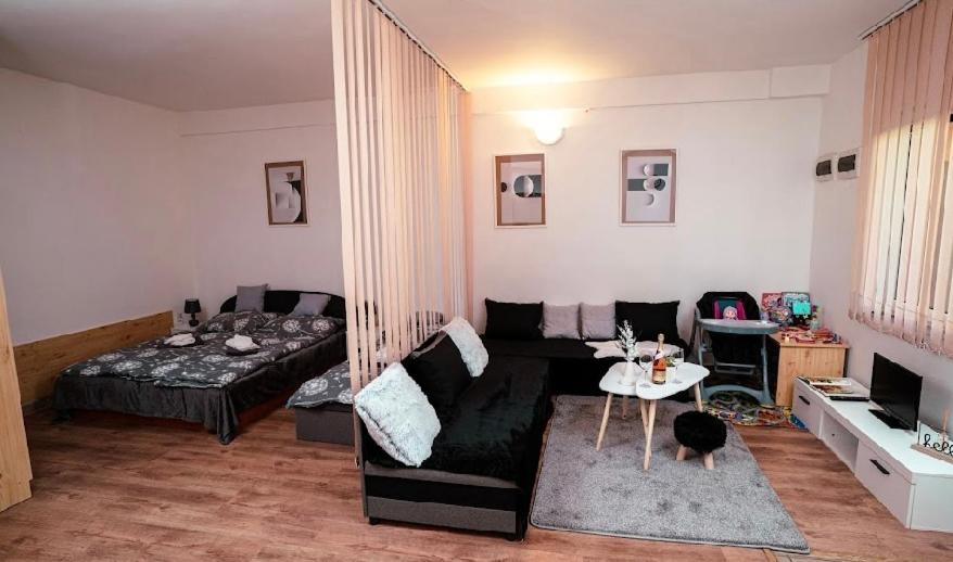 a living room with a couch and a bed at NiKi in Patince