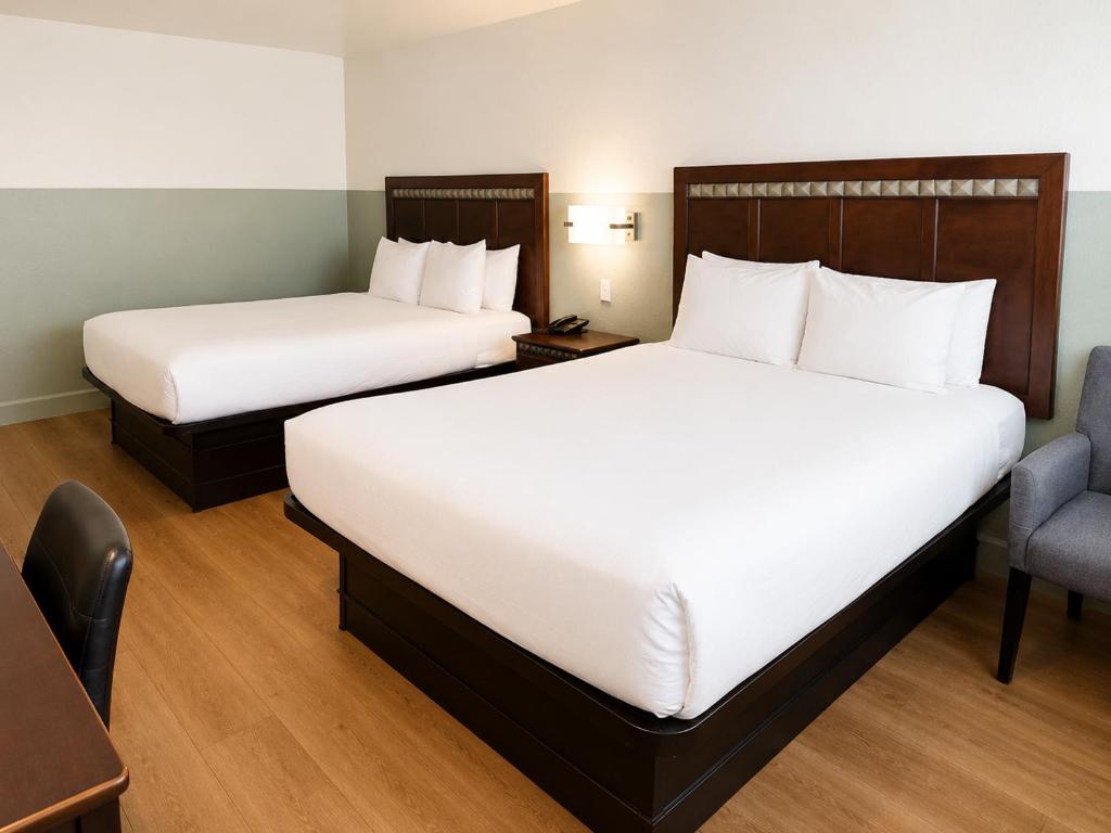 Stargazer Hotel photo