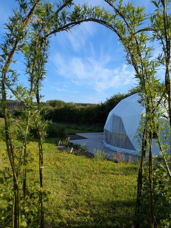 a dome tent in the grass next to a river at Dyers Meadows Camping in Parkham
