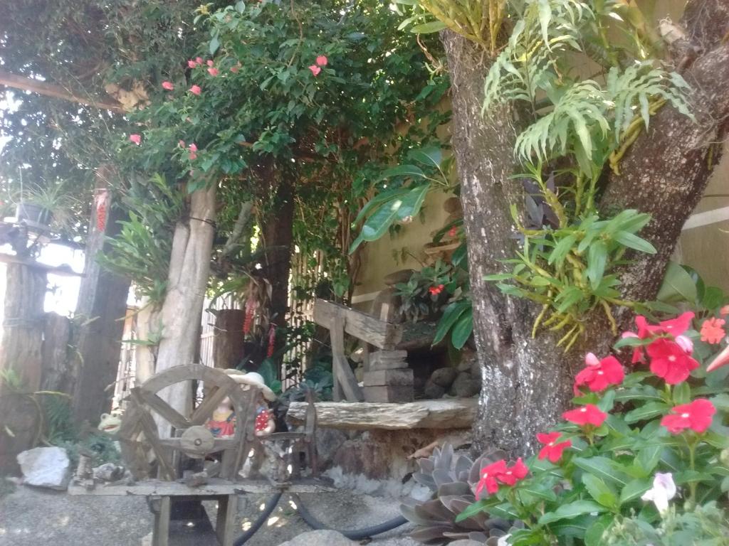 Zahrada ubytování Hotel Dal Gobo