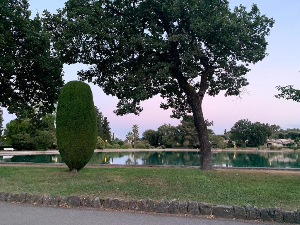 a large bush in the grass next to a lake at Chambre dans charmant Cottage dans résidence agréable in Grasse