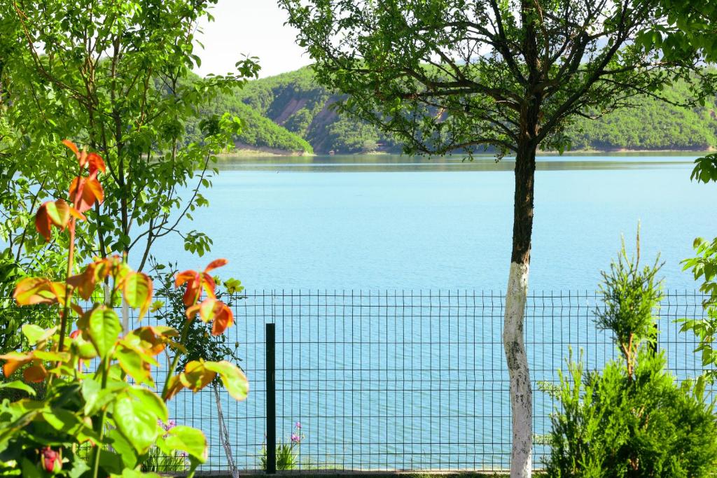 a view of a lake behind a fence at Lake of Diber in Debar