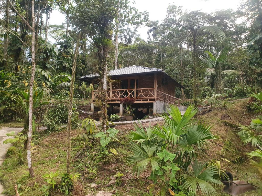 a wooden house in the middle of a forest at Finca Las Palmas Ecolodge in Puyo