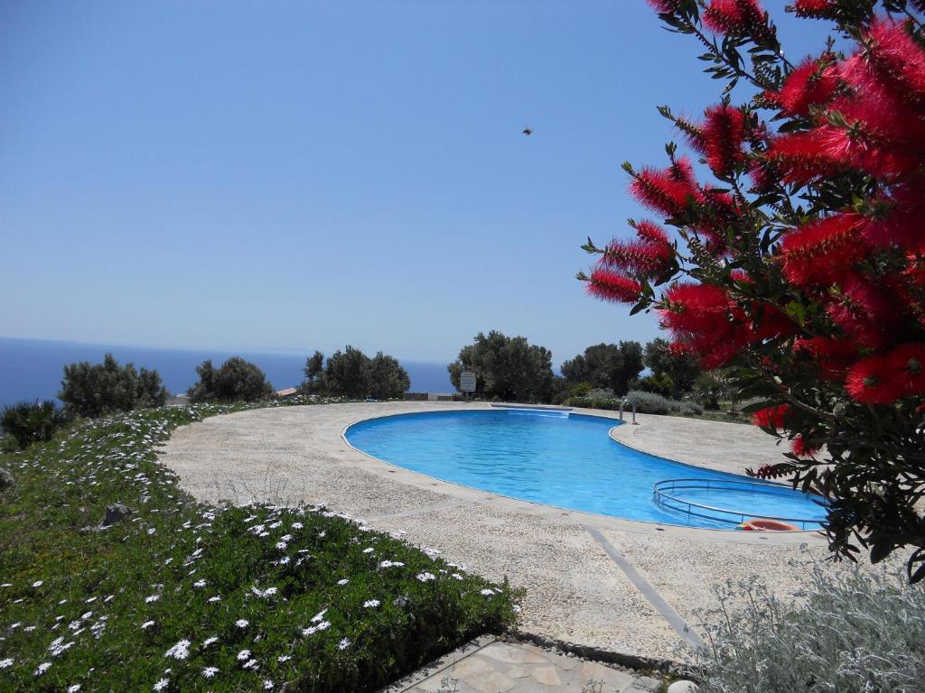 Bazén v ubytování Pegasus Resort nebo v jeho okolí