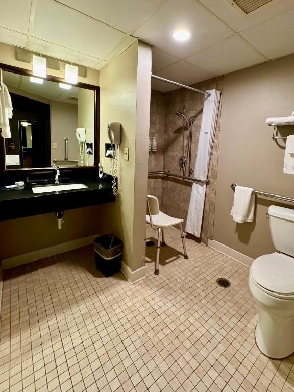 AmericInn by Wyndham Rice Lake - Camera Singola - Accesso Disabili