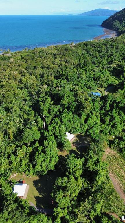 an overhead view of a forest next to the ocean at Coconut Beach House & Cottages in Cape Tribulation