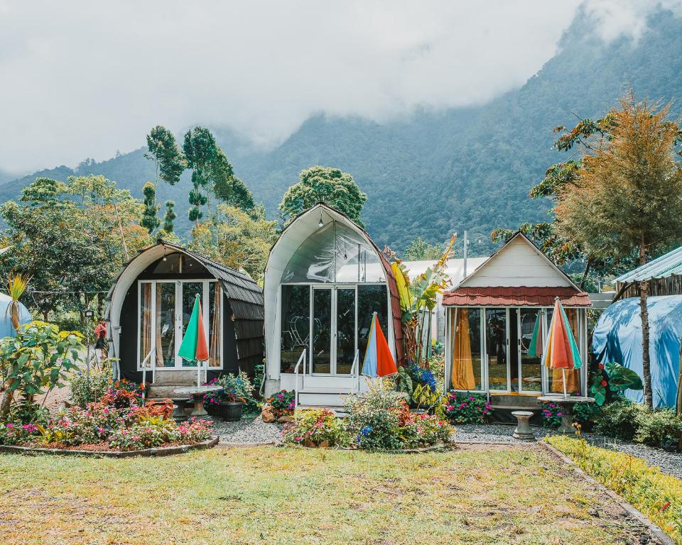 a group of houses in a yard with mountains in the background at Catur Glamping Bedugul in Bedugul