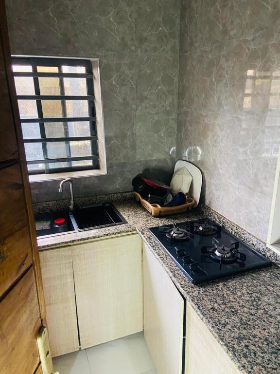 eine Küche mit Herd und Arbeitsplatte in der Unterkunft Double Homes in Agege