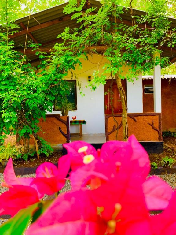 a group of pink flowers in front of a house at Die Elefanten Udawalawe in Udawalawe