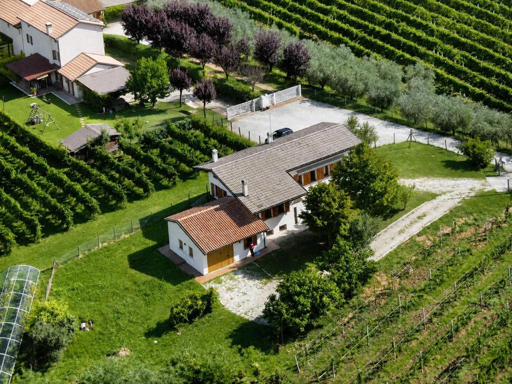an aerial view of a house in a vineyard at Charming House Among the Prosecco Hills & Olive Groves in San Pietro di Feletto