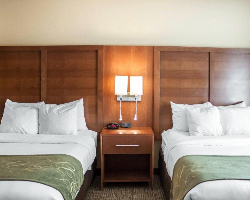 Comfort Suites Airport photo
