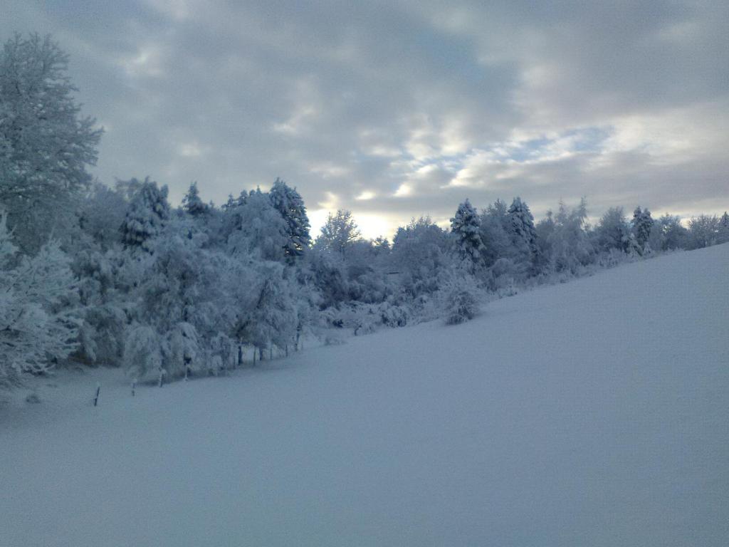 Apartments Pavlić - 17