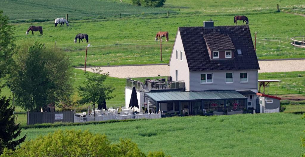 a white barn with horses grazing in a field at Mellys Café & Store in Einbeck