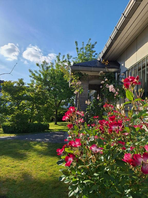 a bush of pink roses next to a building at Studio La Rotonde in Waterloo