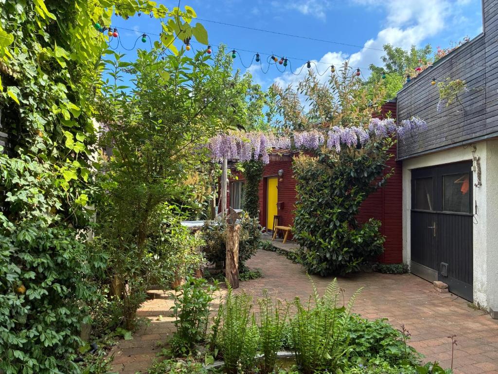 a garden with purple wisteria on the side of a house at Bungaloase in Kelheim