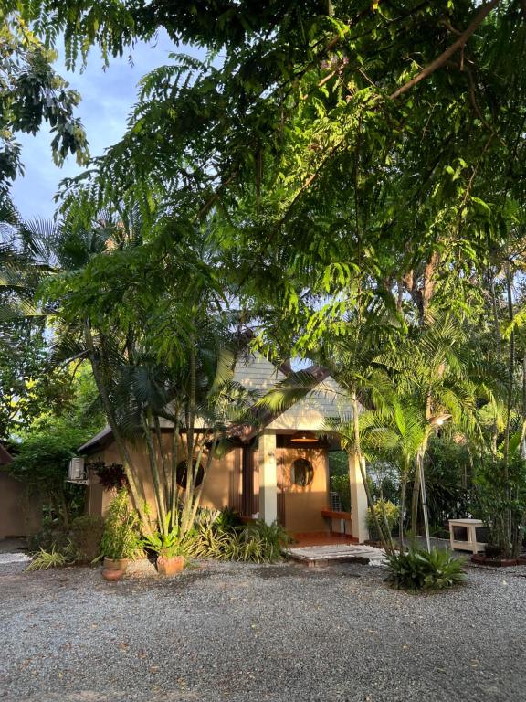 a house with a tree in front of it at Baan Suan ChiChan บ้านสวนชีจรรย์ in Na Jomtien