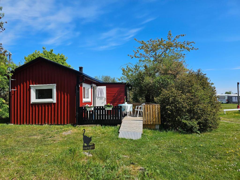 a red cabin with a cat standing in the grass at Stuga 11 Dalskärs camping in Bergkvara