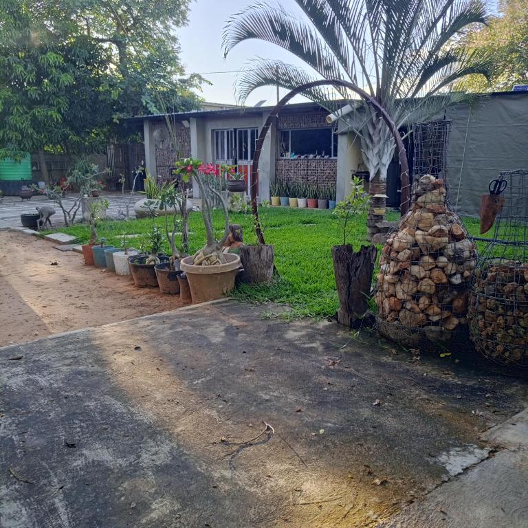 a group of plants in a yard with a house at 1054 Holiday Home in Kasane Airport