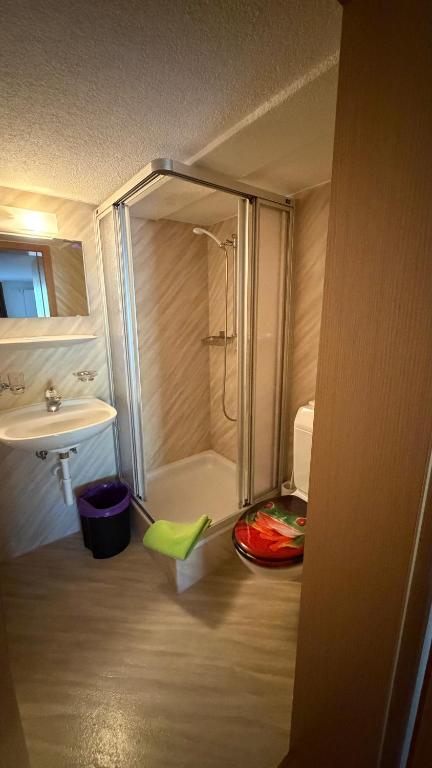 a small bathroom with a shower and a sink at Adler in Linthal