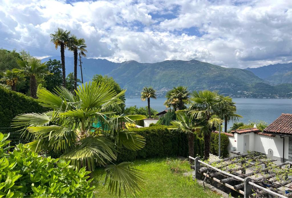 a house with palm trees and a view of the water at Casa Esmeralda in San Nazzaro
