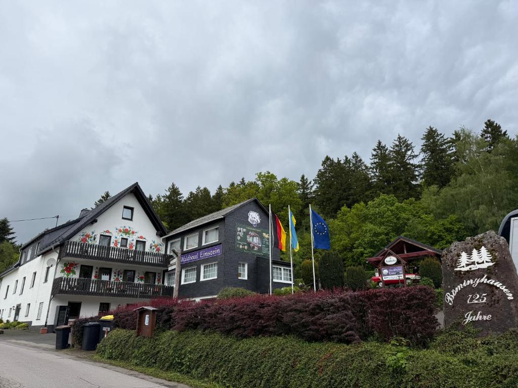 Waldhotel Einstein - Housity