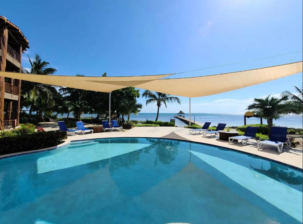 a swimming pool with chairs and an umbrella at Indigo Belize Beach 2C in San Pedro