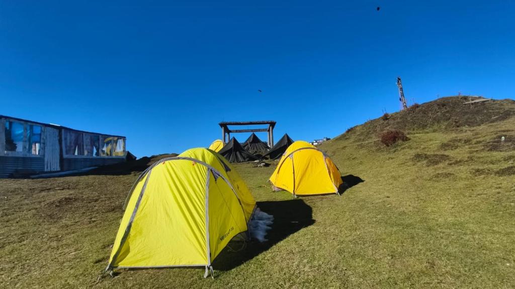 two yellow tents sitting on a grassy hill at Raghupur trecking camp in Shoja