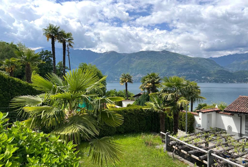a house with palm trees and a view of the water at Serenita in Gambarogno