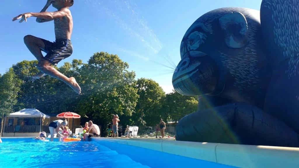 a young boy jumping into a swimming pool at Camping 3 étoiles - Piscine - ccbgbi0 in Lavelanet