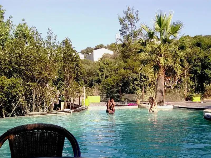 a group of people in a swimming pool at Chalet 2 étoiles - Piscine - ccbgdfh in Porto-Vecchio