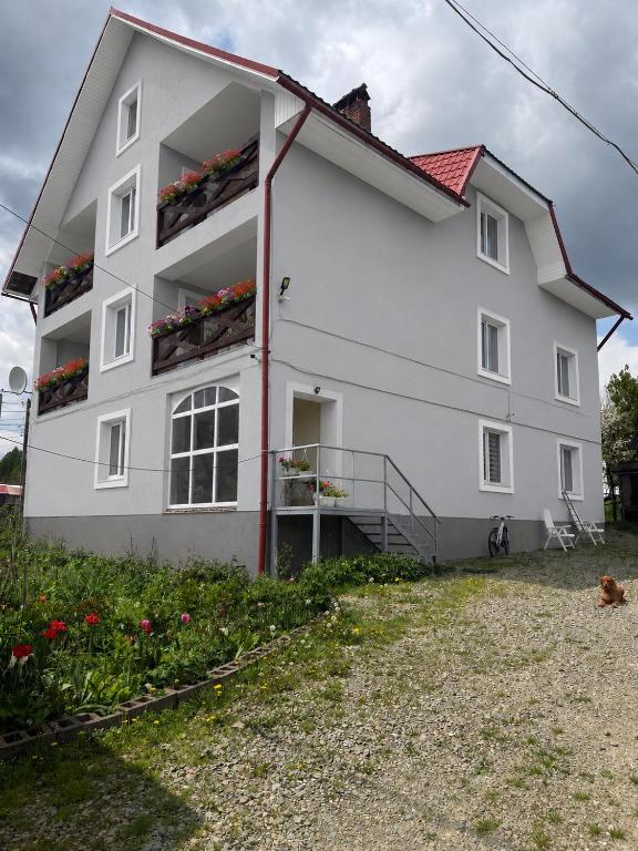 a white house with flower boxes on the windows at Villa Maria in Slavske