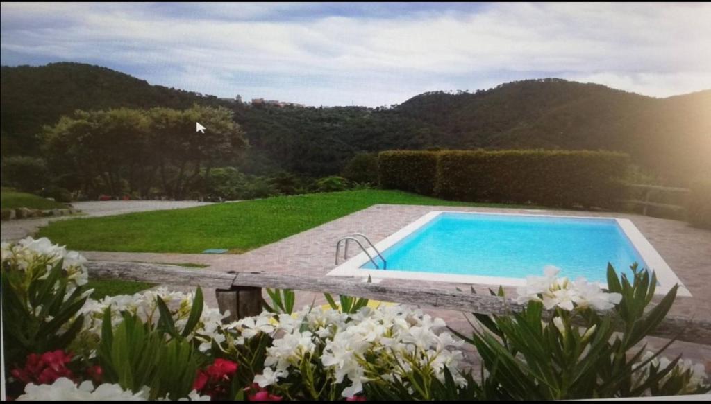 a swimming pool in a garden with flowers at Natura e relax in Anzo