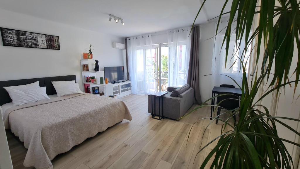 Spacious Studio