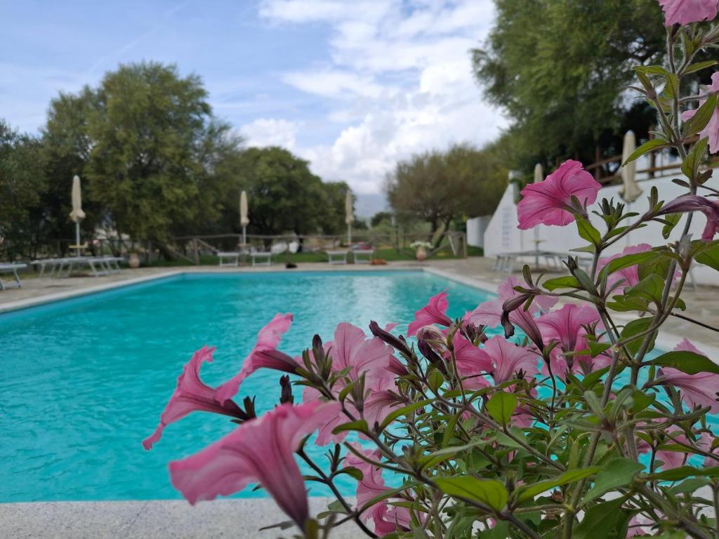 Agriturismo Palas De Serra Country Resort