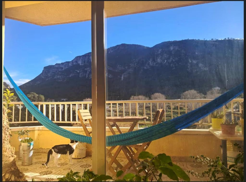 a hammock on a balcony with a dog looking out the window at Mountain View Village Life in Bárig