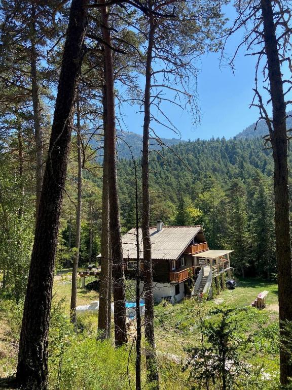 a house in the middle of a forest at Chalet for 10 with the forest in Séranon