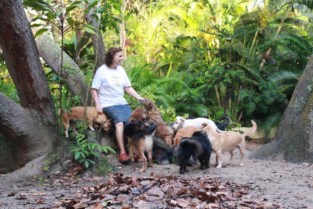  Nature Retreat with Healing Dogs in Brazil