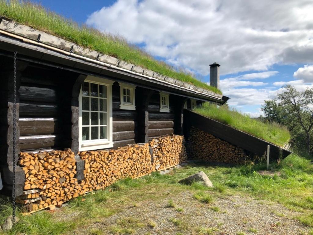 an old log cabin with a grass roof at Budalen, spacious cabin close to skitracks in Holo