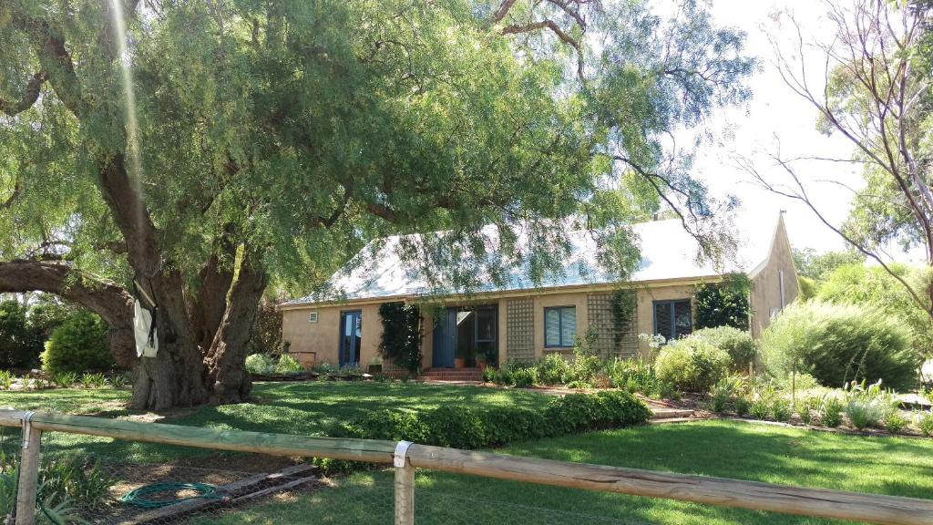 a house with a tree and a fence at The Cottage at Riverside Farm in Lyndoch