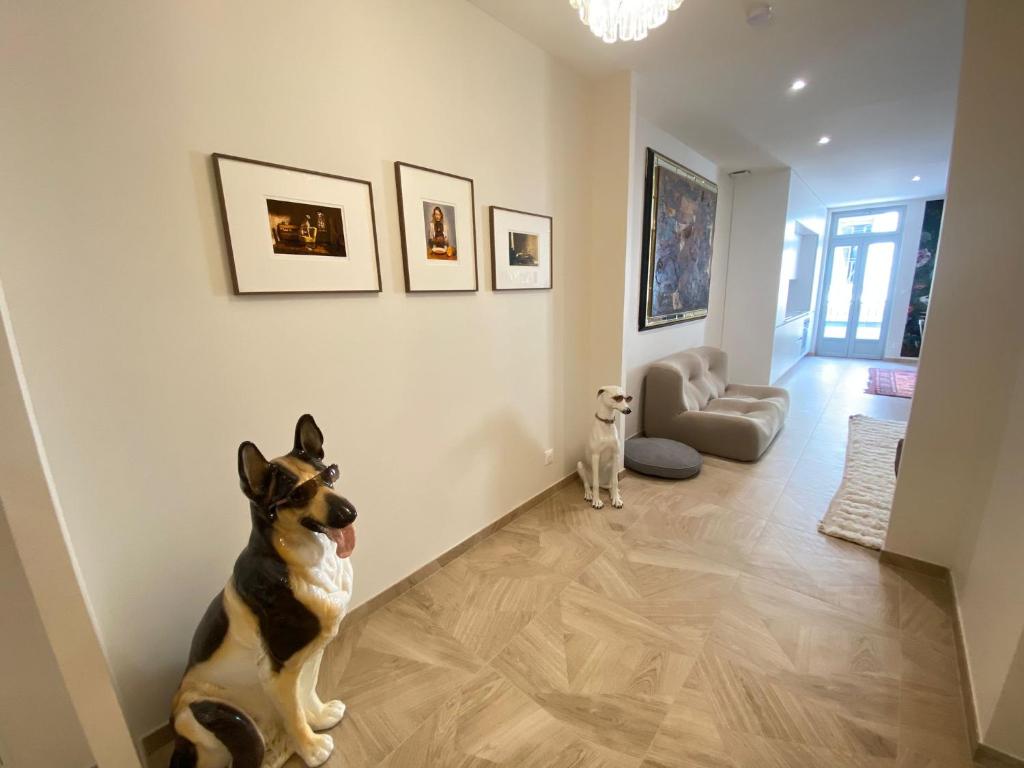 Les Chiens - Atypique T3 en Centre ville, Wifi